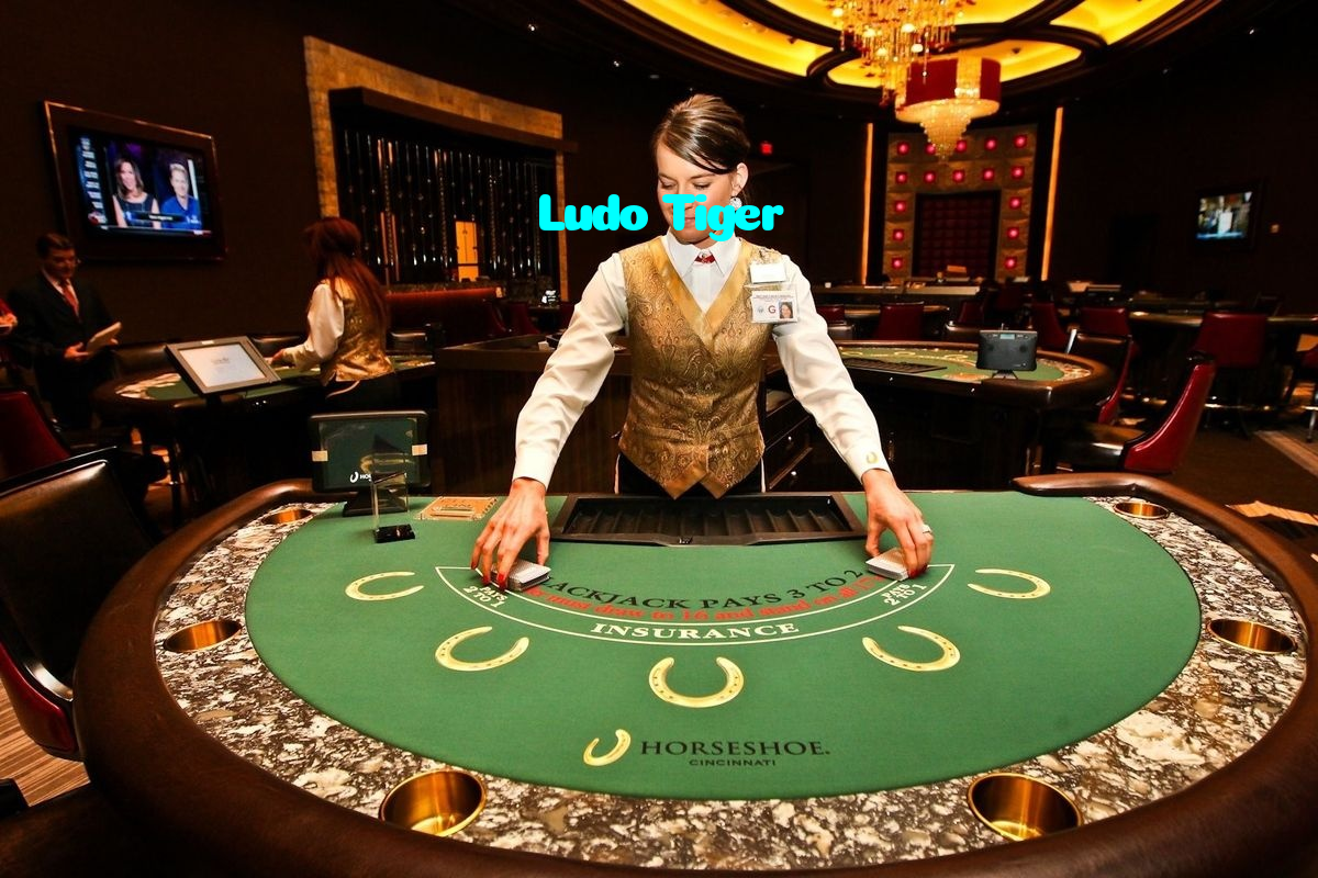 Ludo Tiger casino presented on mobile device in Pakistan with slots and live games