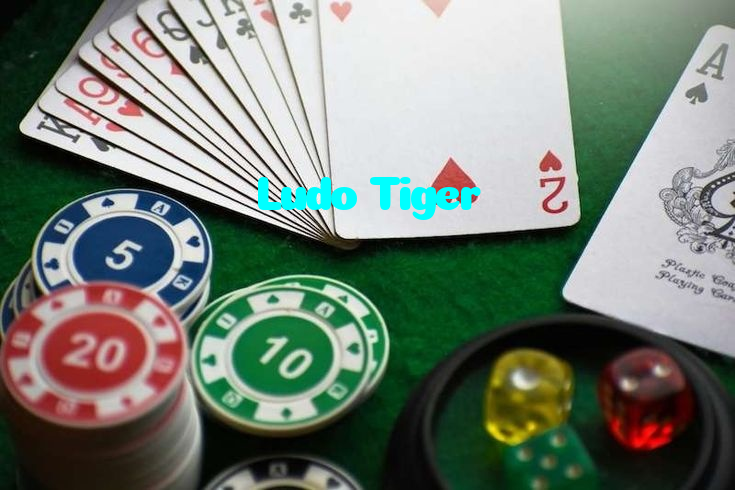 making first deposit on Ludo Tiger website using local payment methods in Pakistan