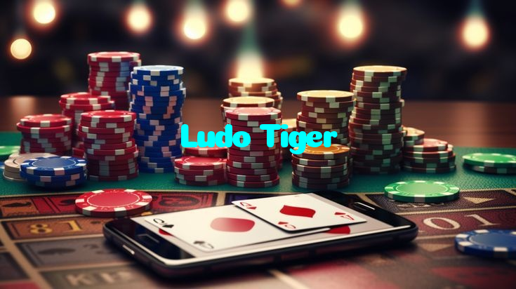 making first deposit on Ludo Tiger website using local payment methods in Pakistan